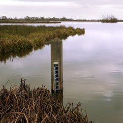 Natuurgebied Willeskop