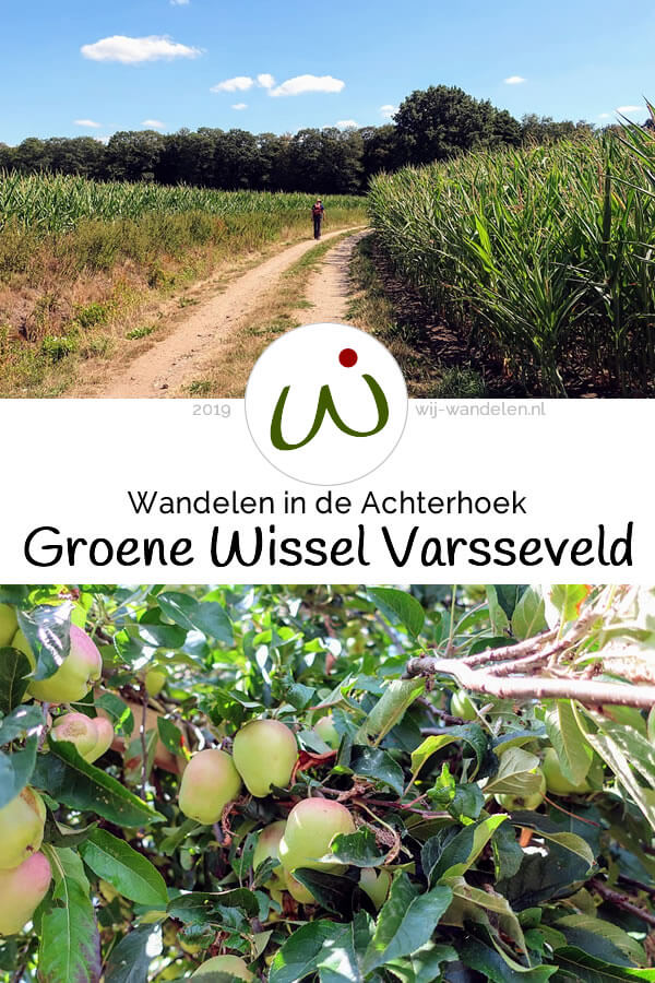 De Groene Wissel Varsseveld is een afwisselende wandeling (18 km) door het Achterhoekse coulisselandschap met bossen, beekjes, akker- en weiland.