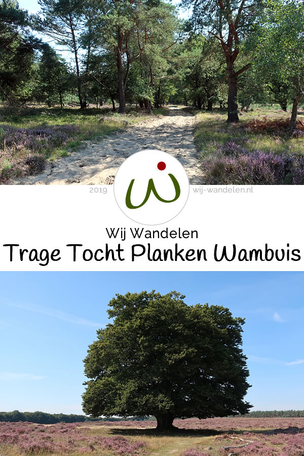 Trage Tocht Planken Wambuis - Ede - Afwisselende bos- en heidewandeling (14km) - 100% zandpadgarantie - Wandelen op de Veluwezoom