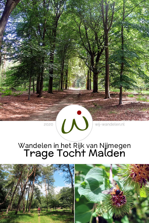 Trage Tocht Malden is een leuke boswandeling (17 km) in het Rijk van Nijmegen rondom Molenhoek en Malden