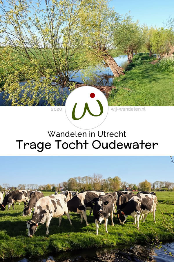 Trage Tocht Oudewater (14 km), een supermooie wandeling door de polder. Wandelen in Oudewater | Water en Weiland in het Groene Hart