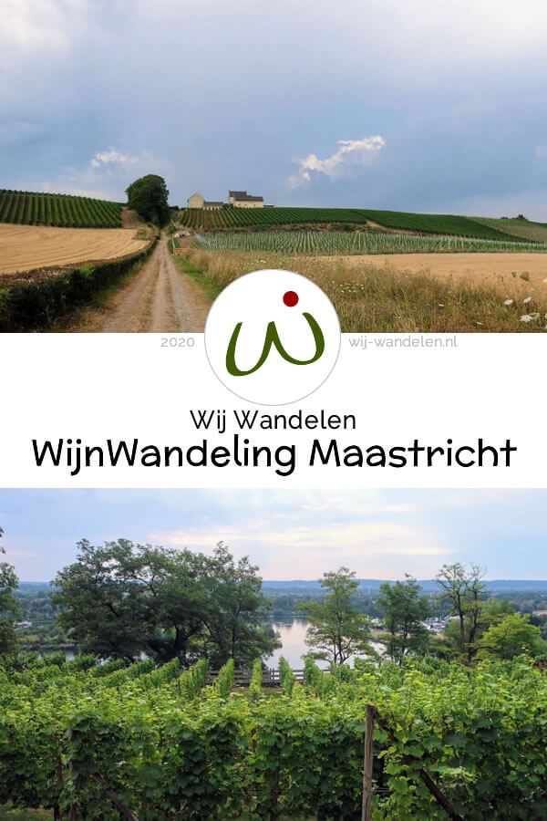 De WijnWandeling Maastricht (11km) loopt langs 3 wijnhuizen nabij Maastricht: Apostelhoeve, Hoeve Nekum en Wijngaard Slavante