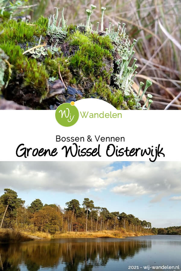 De Groene Wissel Oisterwijk (14 km) is een prachtige boswandeling door natuurgebied de Oisterwijkse Bossen en Vennen.