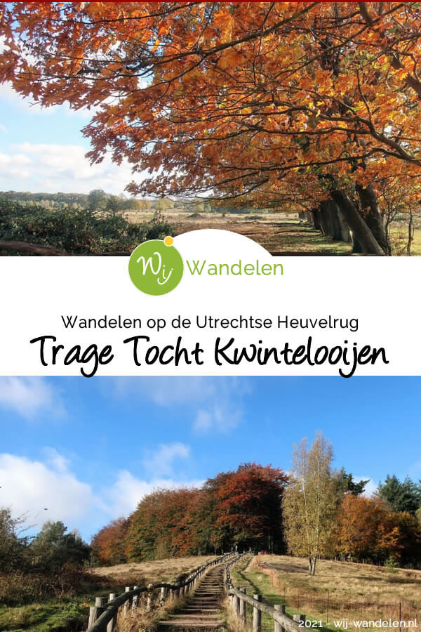 Trage Tocht Kwintelooijen (14km), een allemachtig prachtige boswandeling op de Utrechtse Heuvelrug | 100% onverhard | Volop afwisseling