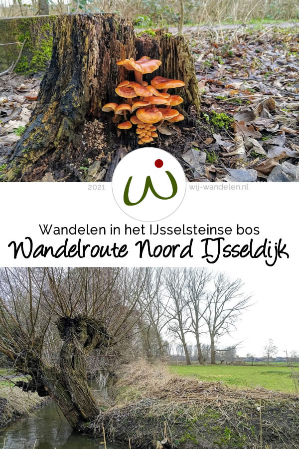 De wandelroute Noord IJsseldijk (6km) loopt langs de Hollandse IJssel en door het IJsselsteinse bos. Een IVN wandelroute in IJsselstein.