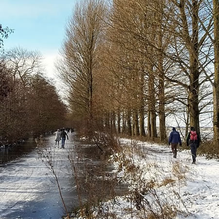 Wandelen over besneeuwde paden in de Lopikerwaard