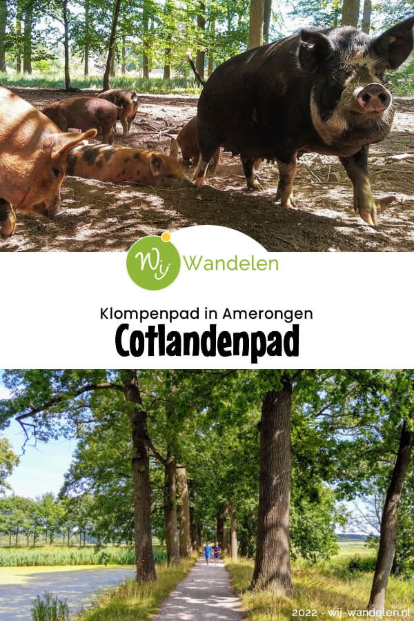 Wij wandelen de verkorte versie van het Cotlandenpad, een heerlijk klompenpad in Amerongen (9km) | Landgoed Zuylestein