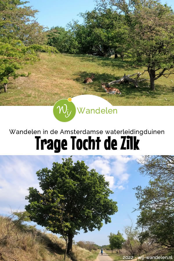 De Trage Tocht de Zilk (17 km) is een onvervalste duinwandeling door de Amsterdamse Waterleidingduinen. Onderweg heb je grote kans om damherten te spotten.