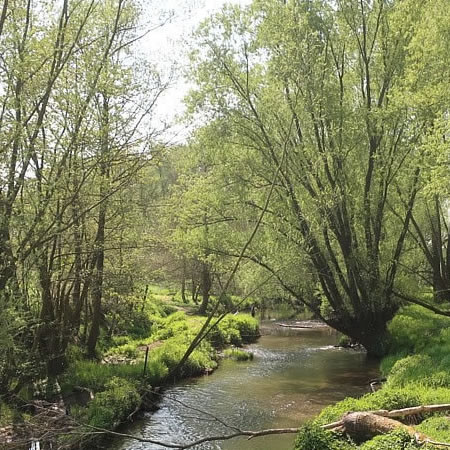 De Geul op z&rsquo;n mooist