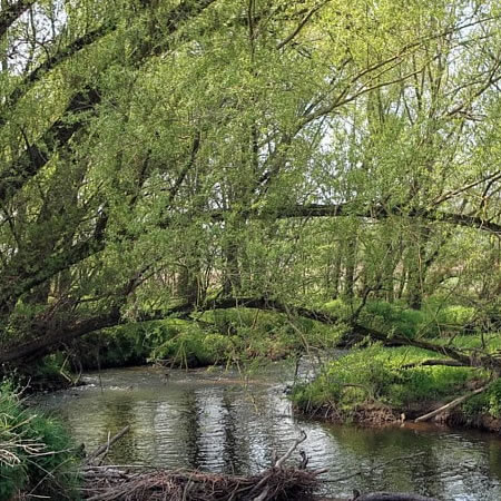 De Geul slingert door het land