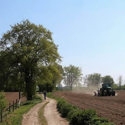 De Moltweg in april 2022 - Trage Tocht Epen