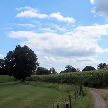 De Moltweg in juli 2022 - Trage Tocht Slenaken