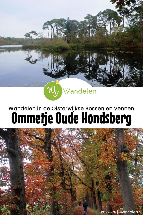 Het Ommetje Oude Hondsberg is een heerlijke boswandeling (10 km) door natuurgebied de Oisterwijkse Bossen en Vennen