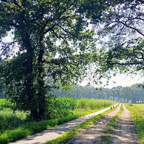 Dit zie je veel in Twente: een onverharde landweg met daarnaast een verhard fietspad. Dit zie je veel in Twente: een onverharde landweg met daarnaast een verhard fietspad.