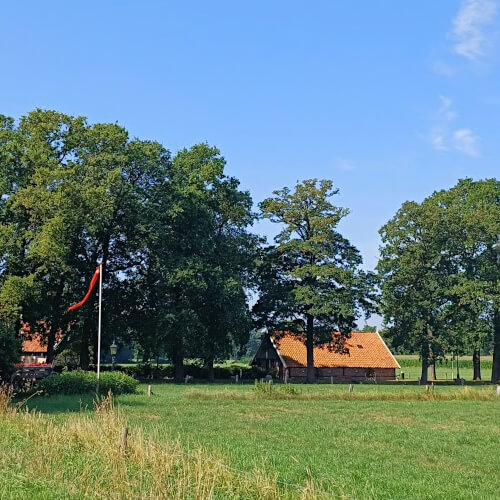 Een terugblik Een terugblik