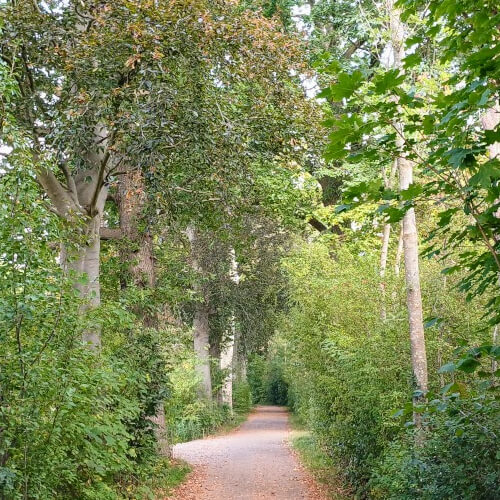 Een stukje over het fietspad Een stukje over het fietspad