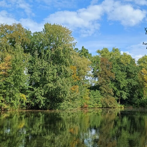 De vijver in het Vijverbos De vijver in het Vijverbos