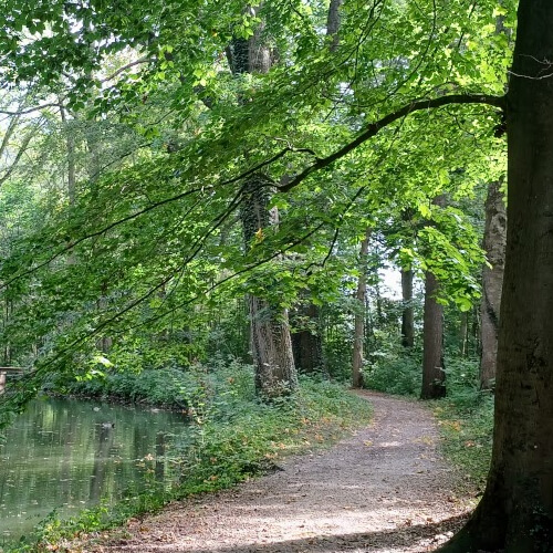 Het mooiste stuk van de route is door het Vijverbos Het mooiste stuk van de route is door het Vijverbos