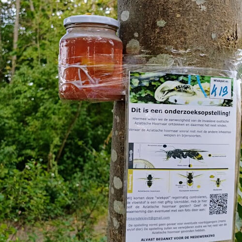 Op veel plekken in het dorp zie ik soortgelijke potten hangen voor onderzoek naar de Aziatische hoornaar Op veel plekken in het dorp zie ik soortgelijke potten hangen voor onderzoek naar de Aziatische hoornaar