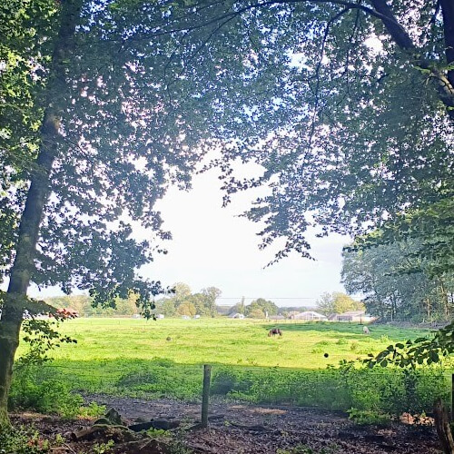 In de verte staat onze KampeerKoets op camperpark Speuld In de verte staat onze KampeerKoets op camperpark Speuld