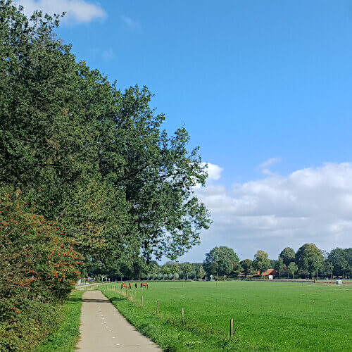 Een laatste stukje over het fietspad Een laatste stukje over het fietspad