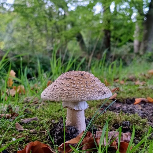 Wat een mooierd Wat een mooierd