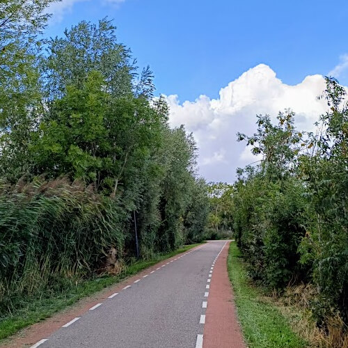 Ziet er best saai uit zo . . . Ziet er best saai uit zo . . .