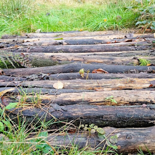 Bruggetje van boomstammen Bruggetje van boomstammen