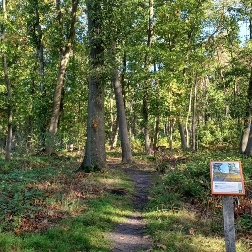 Natuurgebied Wijboschbroek Natuurgebied Wijboschbroek