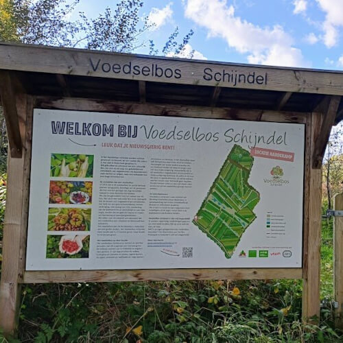Voedselbos Schijndel Voedselbos Schijndel