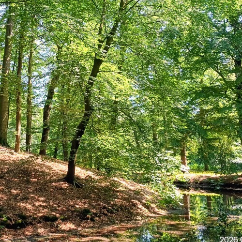 Enkele minuten geleden stond ik boven op het heuveltje Enkele minuten geleden stond ik boven op het heuveltje