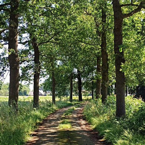 Ook de verharde paden en wegen zijn moeite waard Ook de verharde paden en wegen zijn moeite waard