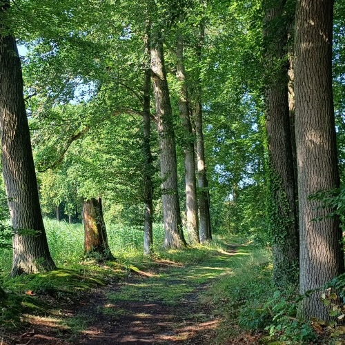 Mooie wandelpaden Mooie wandelpaden