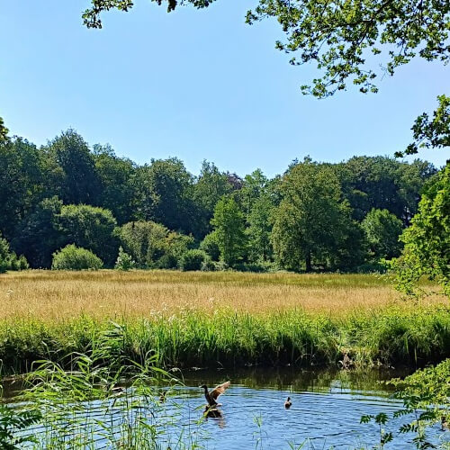 Het Sallandse coulisselandschap Het Sallandse coulisselandschap