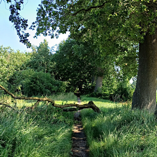 Wegversperring Wegversperring