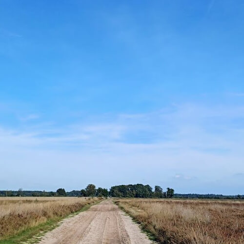 Het einde is in zicht Het einde is in zicht