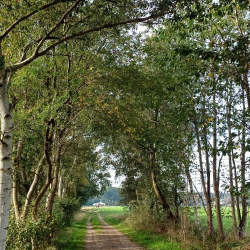 Het begin van de route is leuk!! Het begin van de route is leuk!!