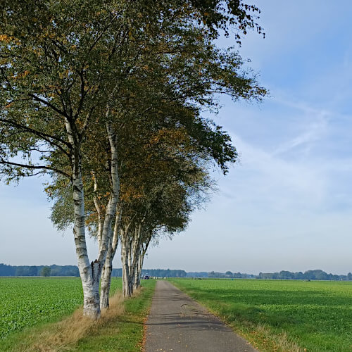 Landweg, net buiten Lhee Landweg, net buiten Lhee