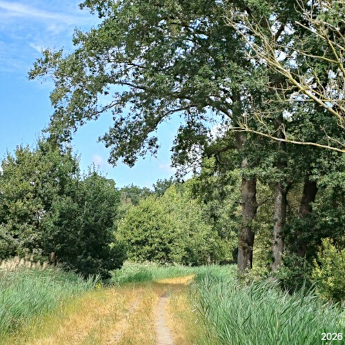 De Kampina De Kampina