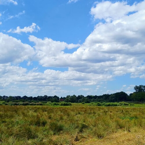 De waterberging aan de rand van de Kampina De waterberging aan de rand van de Kampina