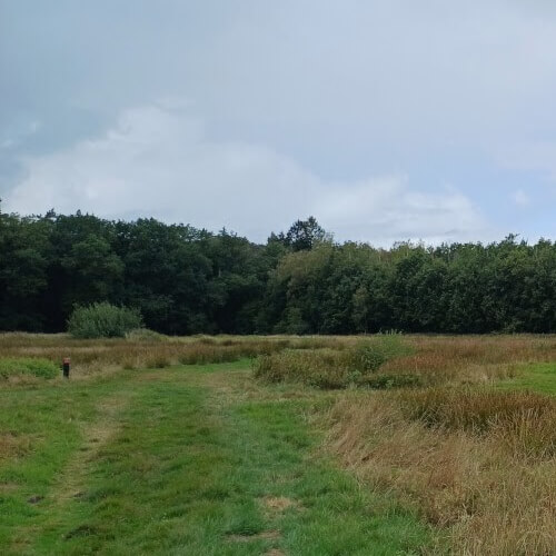 Graspad door het Nonnenland
