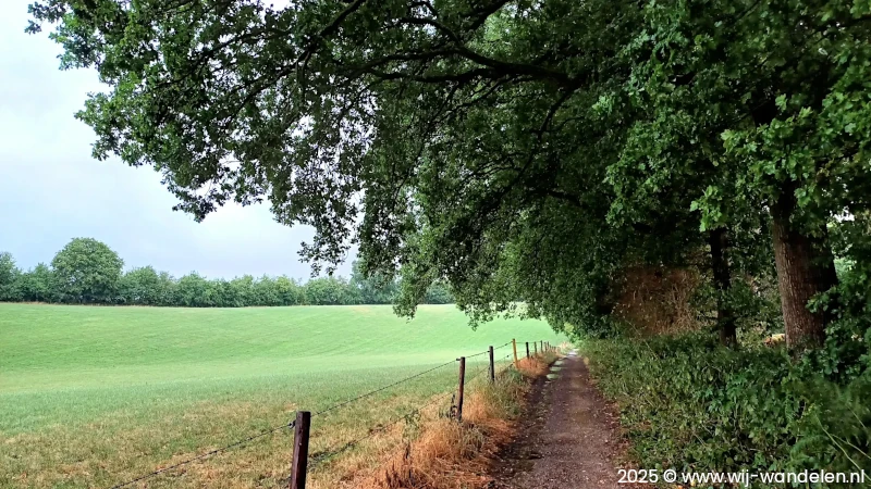 Ommetje Nederrijkswald