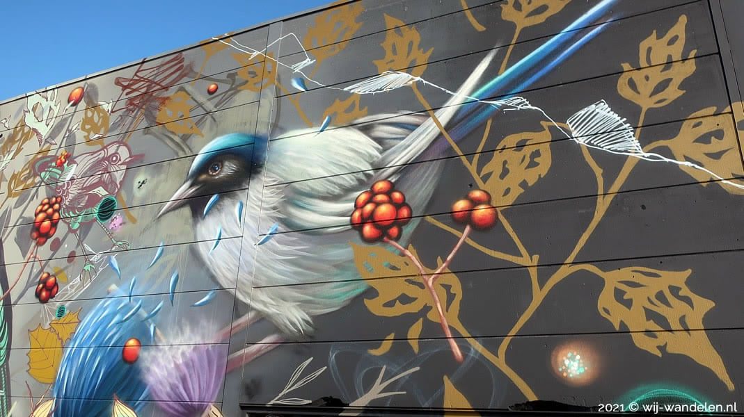 Street Art wandeling in Breda - Kunst met een verhaal