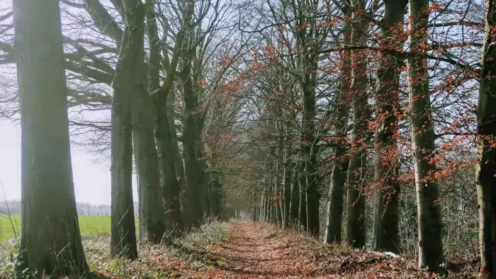De Traagste Tocht van Nederland
