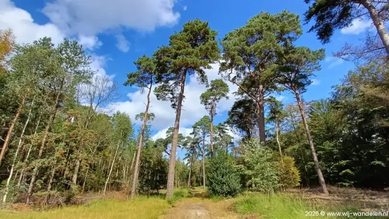 Trage Tocht Lage Vuursche