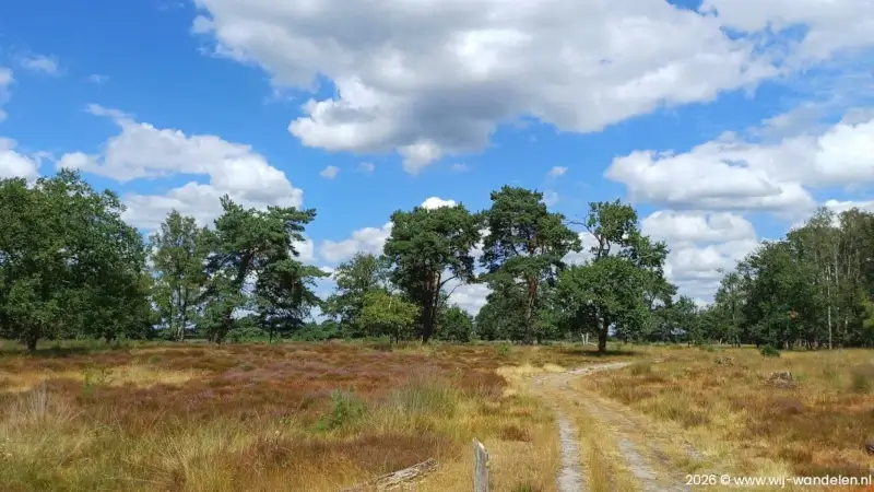 Wandelen door het Dal van de Beerze