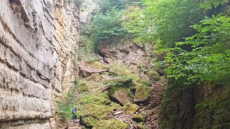 Wandelroute E4 in het Mullerthal