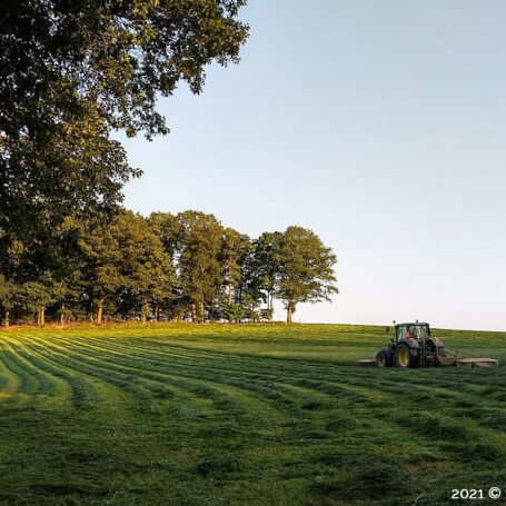 Wandelen op de rand Bos en Boerenland