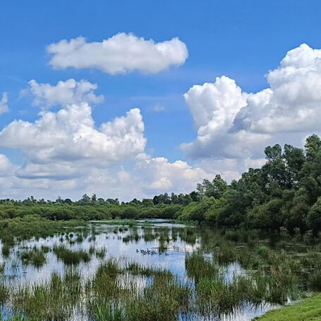Wandelen in natuurgebied de Kampina