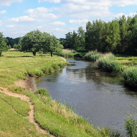 Struinen langs de Dommel